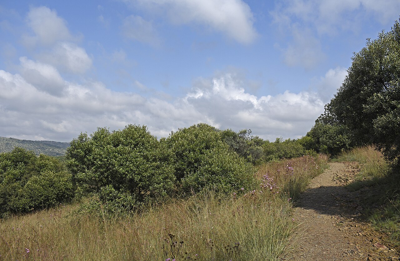 Hiking trail